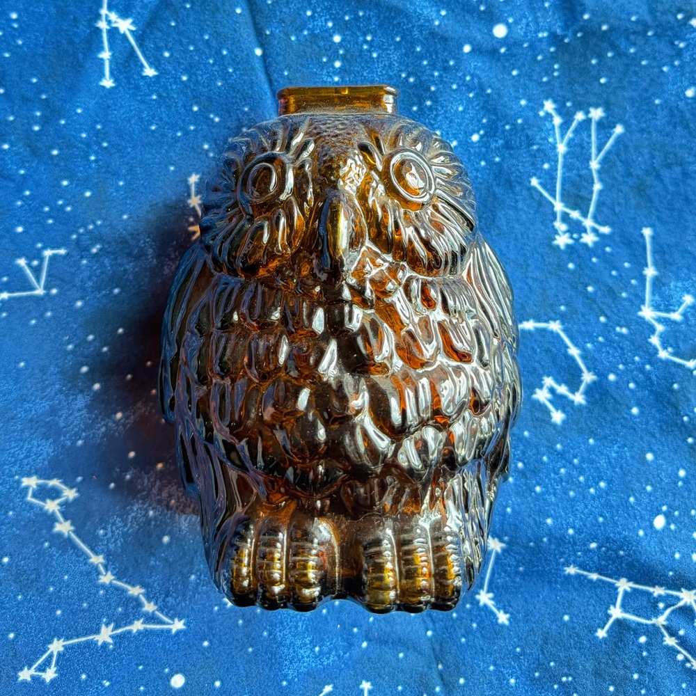 VINTAGE Dark Amber ' Wise Old Owl ' Glass Bank Decor